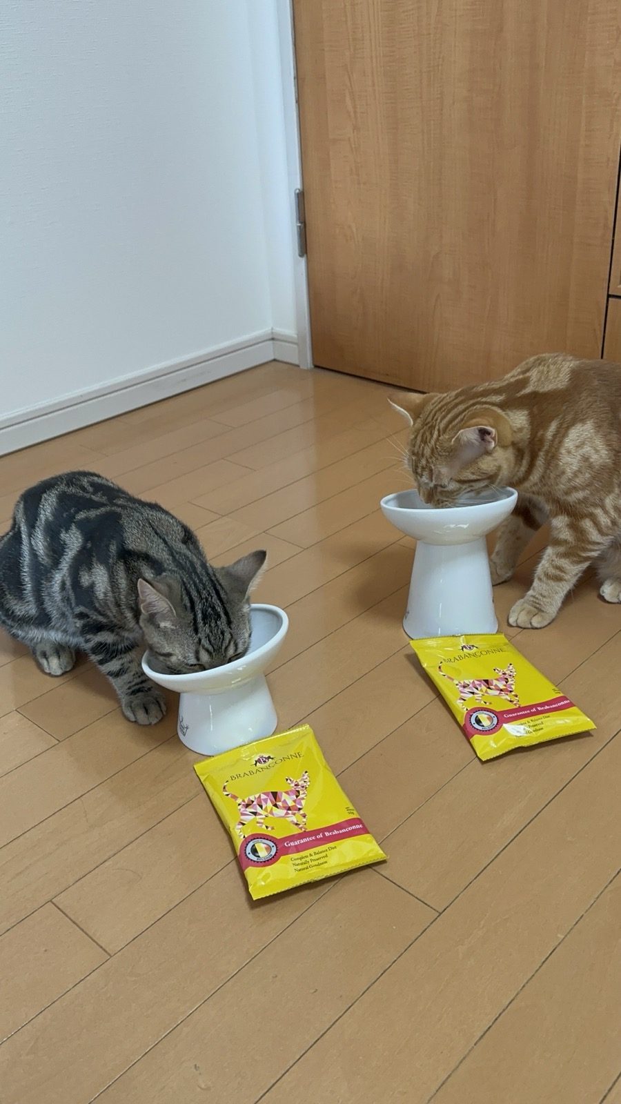 ブラバンソンヌを並んで食べるつむぎと琥珀