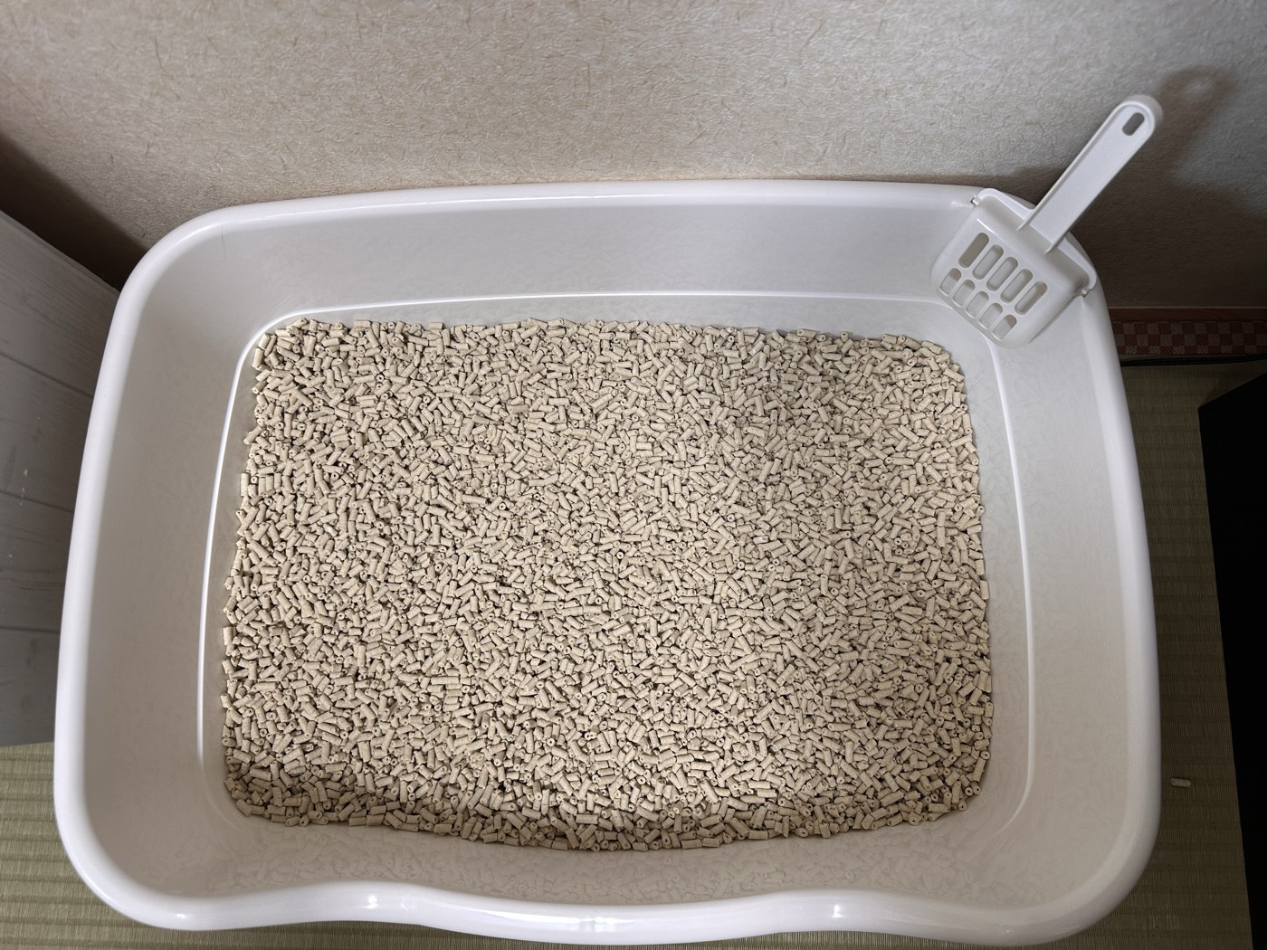 猫トイレいっぱいに敷き詰めたおからのネコ砂。細長い薄いベージュ色の粒が均一に広がっている