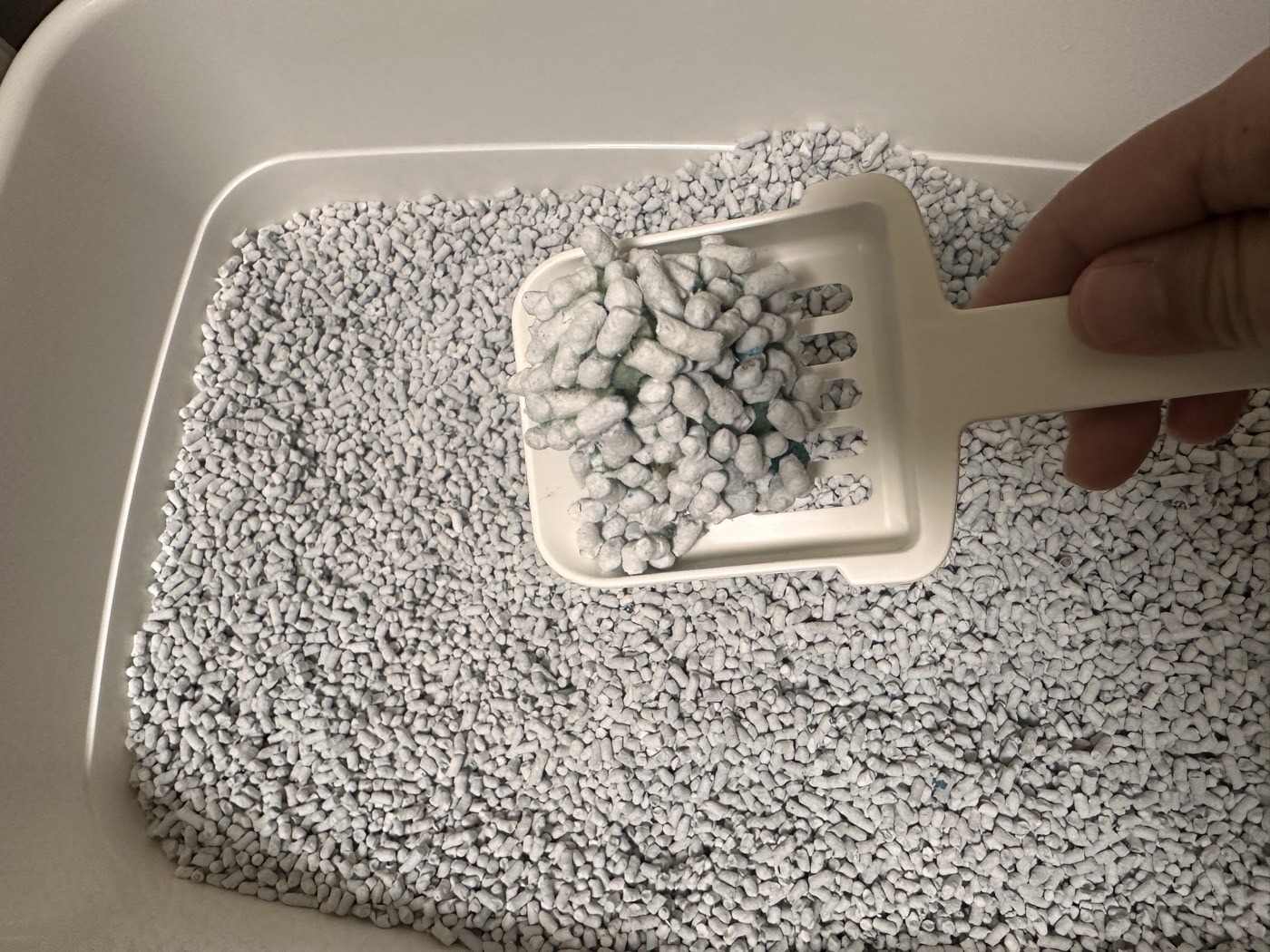 色が変わるタイプの紙製猫砂をスコップですくったところ。おしっこを吸った部分がしっかり固まっている