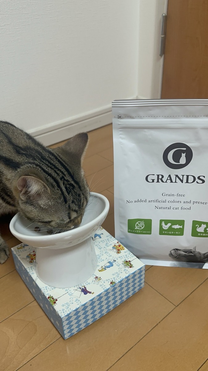 グランツを食べる琥珀
