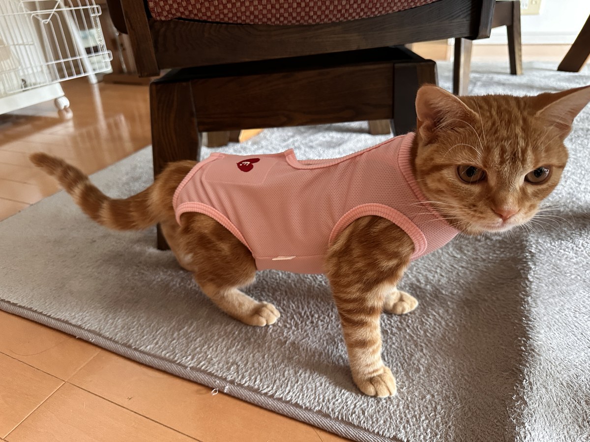 術後服を着て立つつむぎの全身