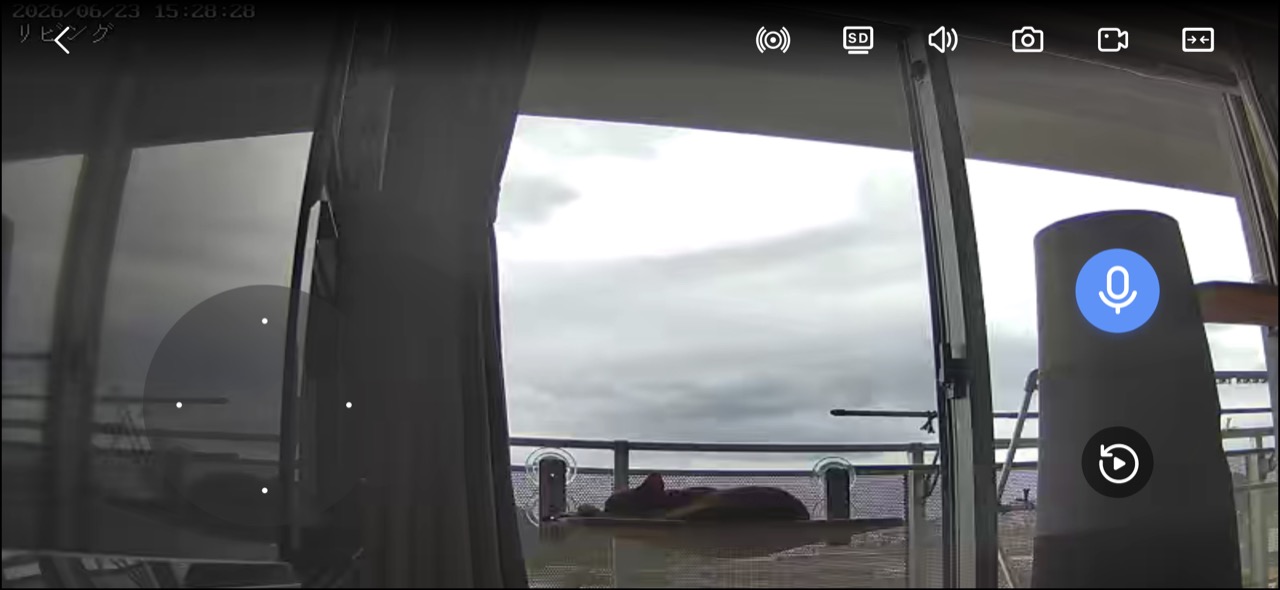 見守りカメラ越しにハンモックで眠るつむぎ
