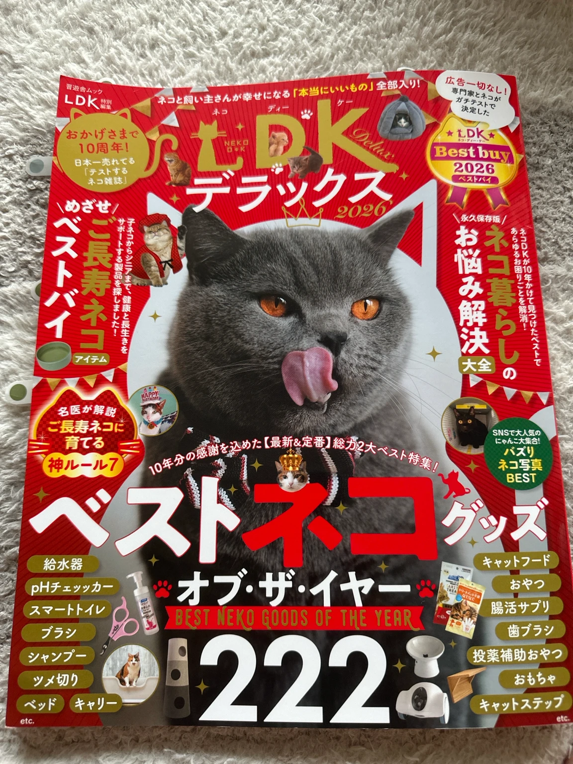 ネコDKデラックス2026