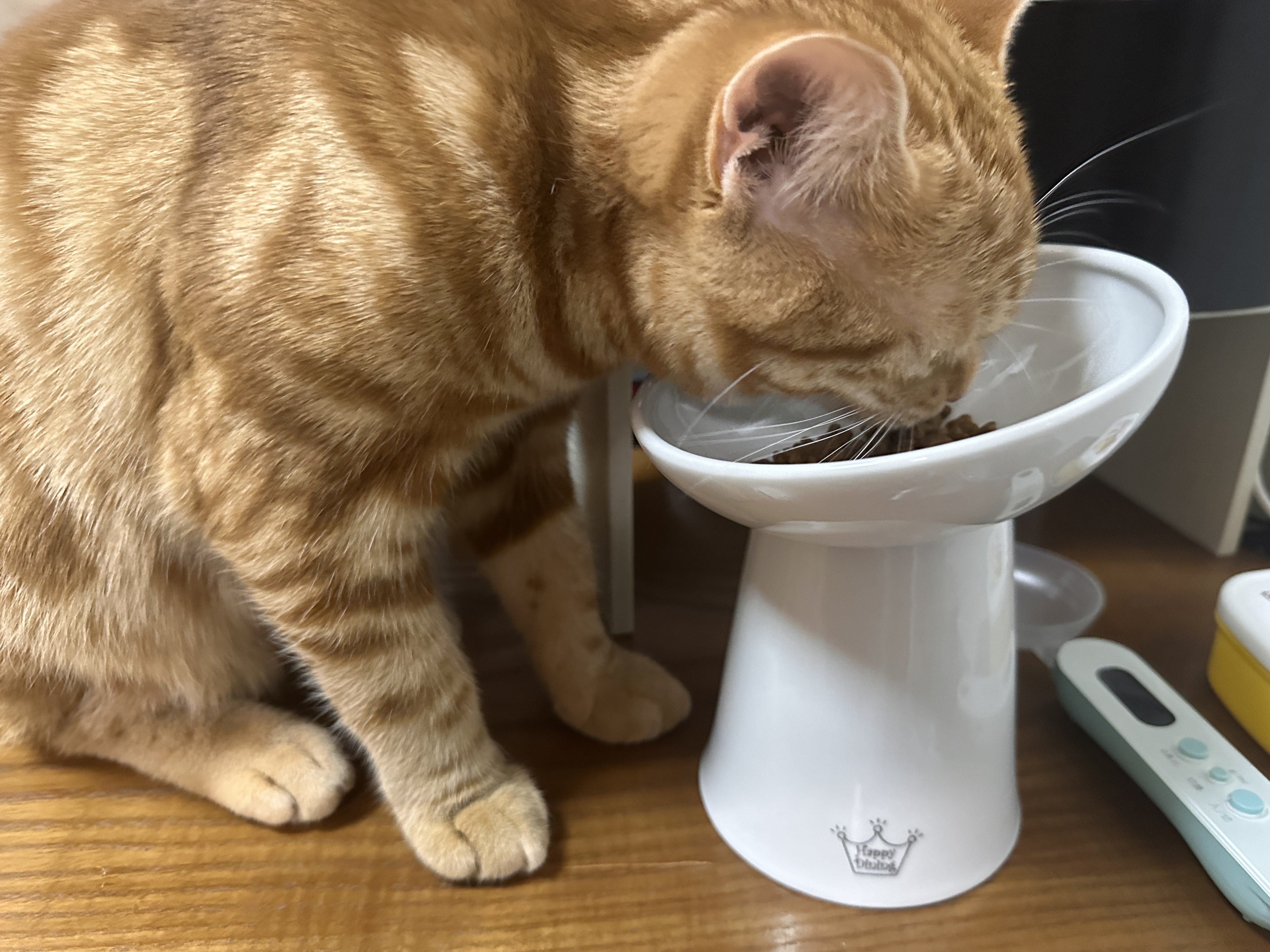 にゃにゃめフードボウルで食べるつむぎ