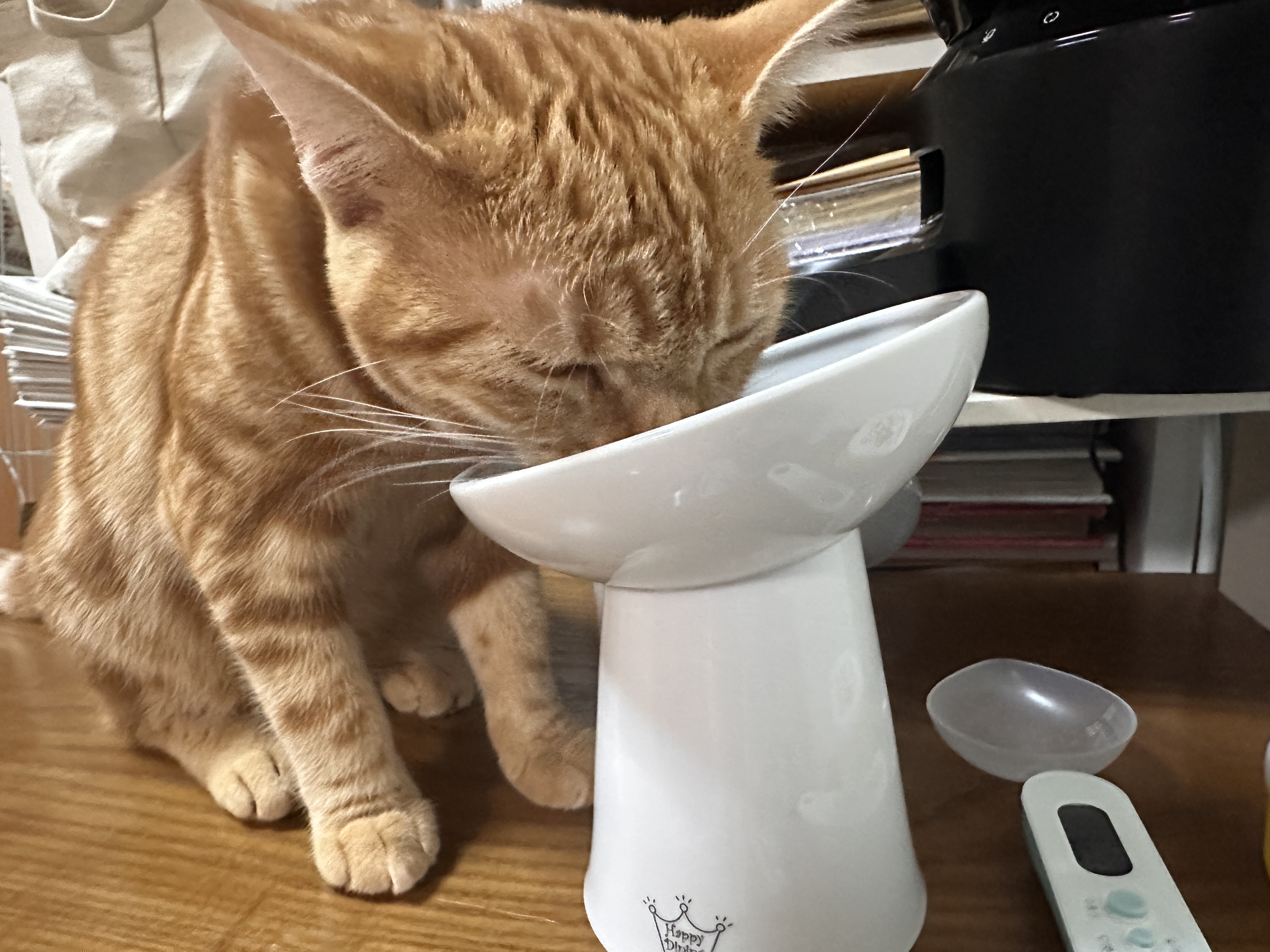 にゃにゃめフードボウルに顔を入れるつむぎ